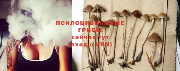 твердый Осташков