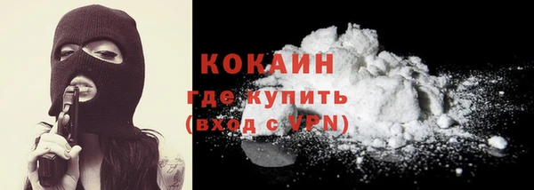 хмурый Осинники