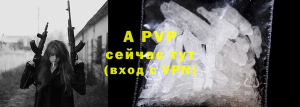 хмурый Осинники