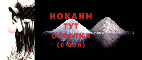 твердый Осташков