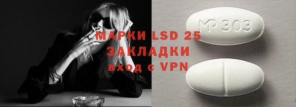хмурый Осинники