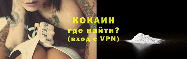 хмурый Осинники