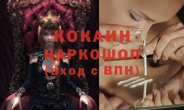 хмурый Осинники
