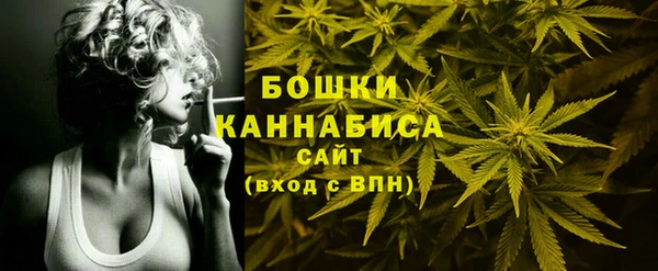 хмурый Осинники